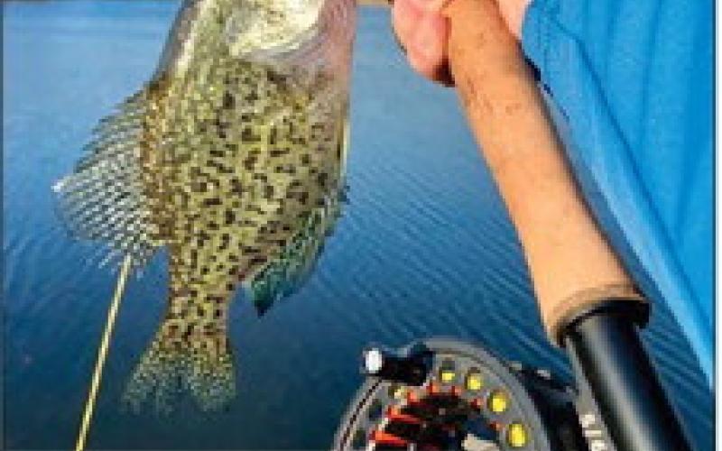 Perry Newman with a white crappie caught in Osage County
